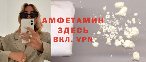 гидра Алексин