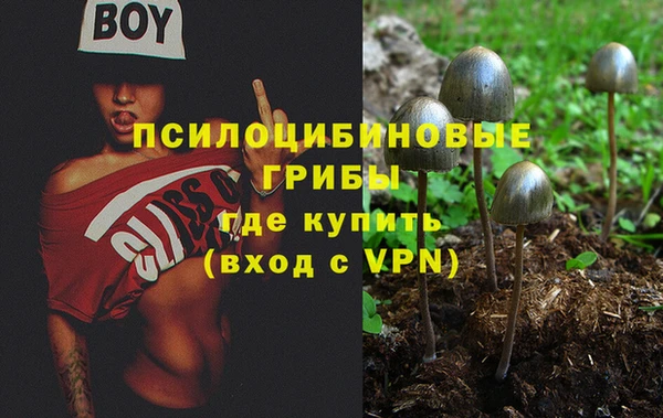 соль ск Абаза